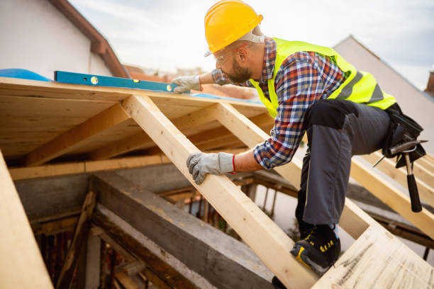 Roof Gutter Cleaning in South Carthage, TN